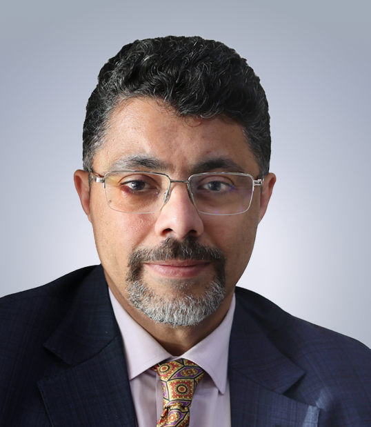 Mohamed S. Abdel Wahab